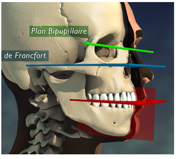 Capture d’écran 2025-12-02 à 21.28.54 Capture d’écran 2025-12-02 à 21.28.54